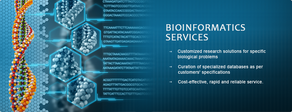 "Bioinformatics services - Customize - Specification - Cost Effective"